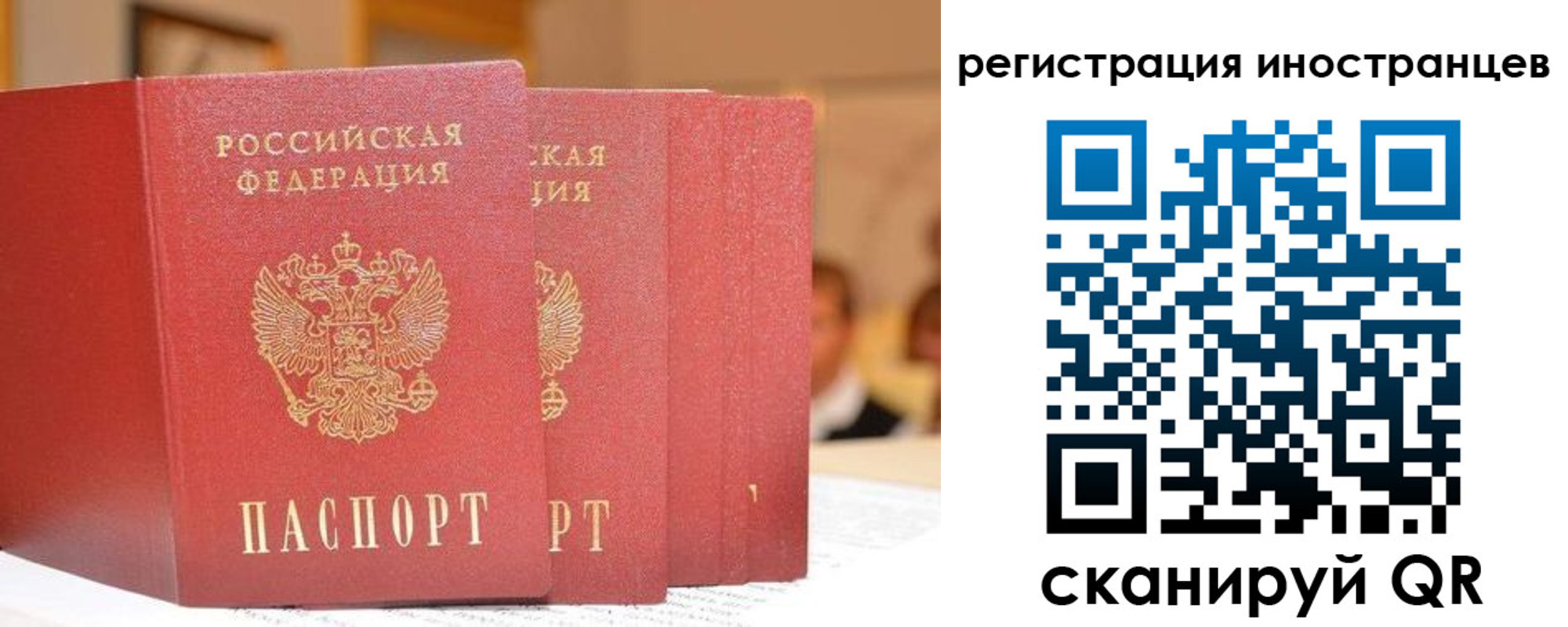 где прописаться в Донском